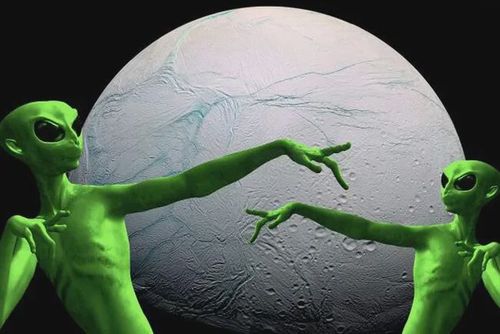 萌点星球黑洞免费账号截图3