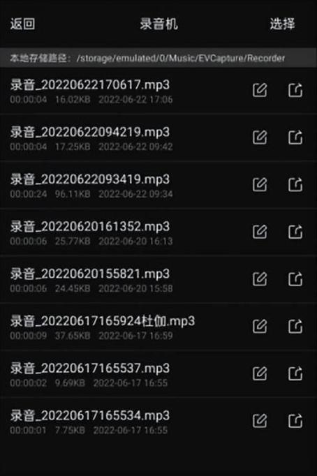 能内录音频的手机软件截图3