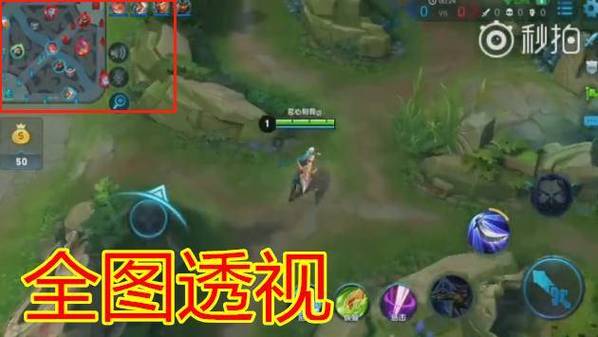 王者荣耀国际服透视挂软件截图1