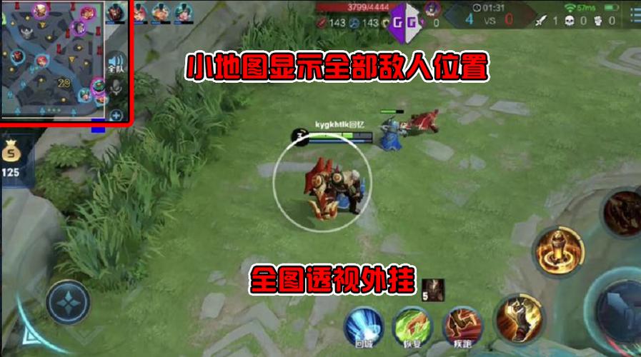 王者荣耀国际服透视挂软件截图3