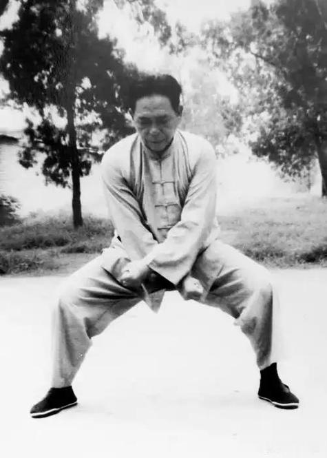 太极拳3巅峰在望在线观看