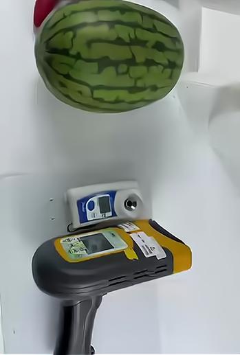 西瓜助手检测