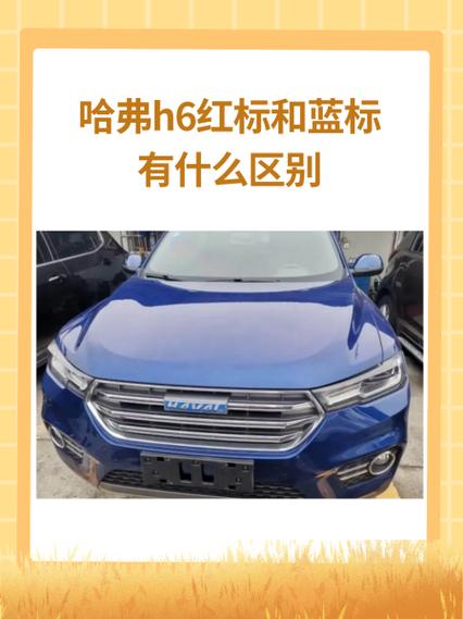 红标绿标蓝标什么意思