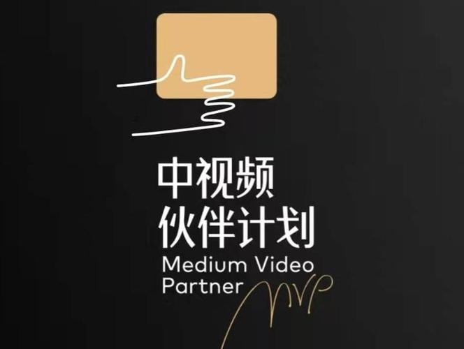 中视频伙伴计划播放量怎么计算