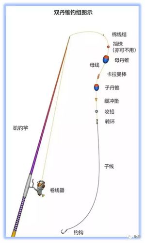 机杆钓鱼怎么组装视频