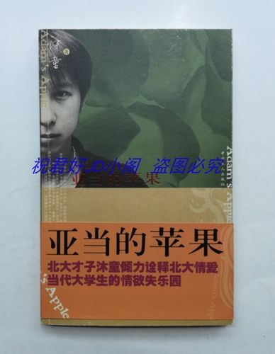 苹果的小说