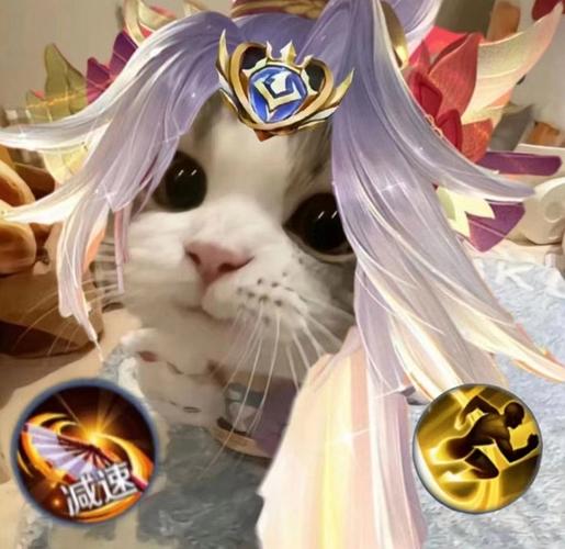 “权威”头像小猫王者