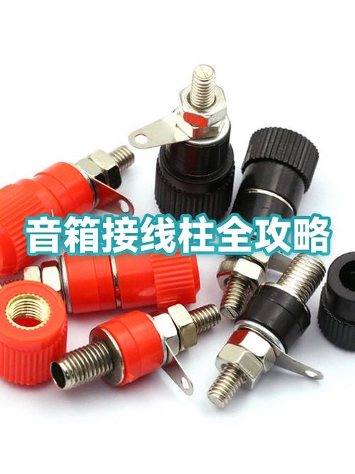 音箱后面6个接线柱