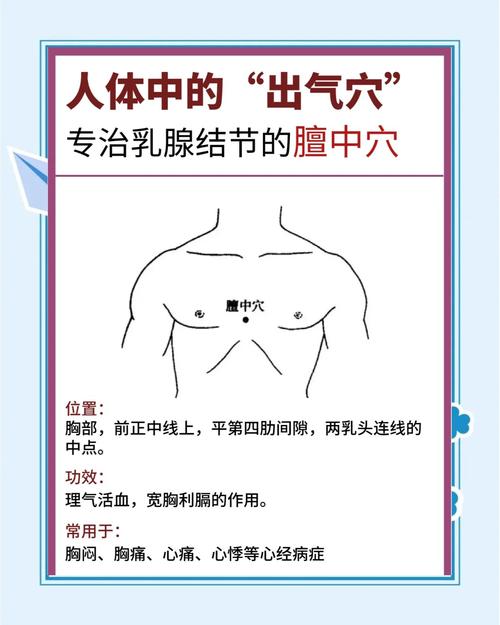 胸口中间部位图