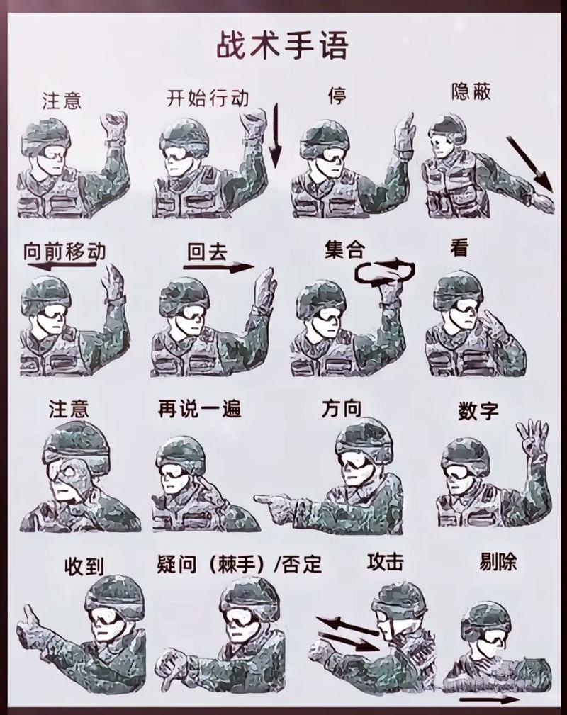 战术小队怎么讲话