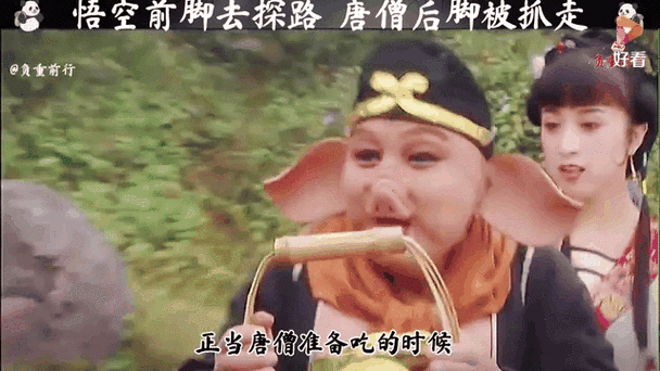 八戒加速
