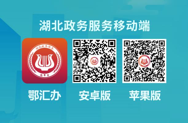 湖北政务服务网鄂汇办