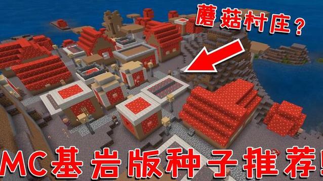 基岩版大型村庄种子
