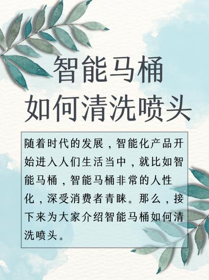 智能马桶喷头怎么清洗