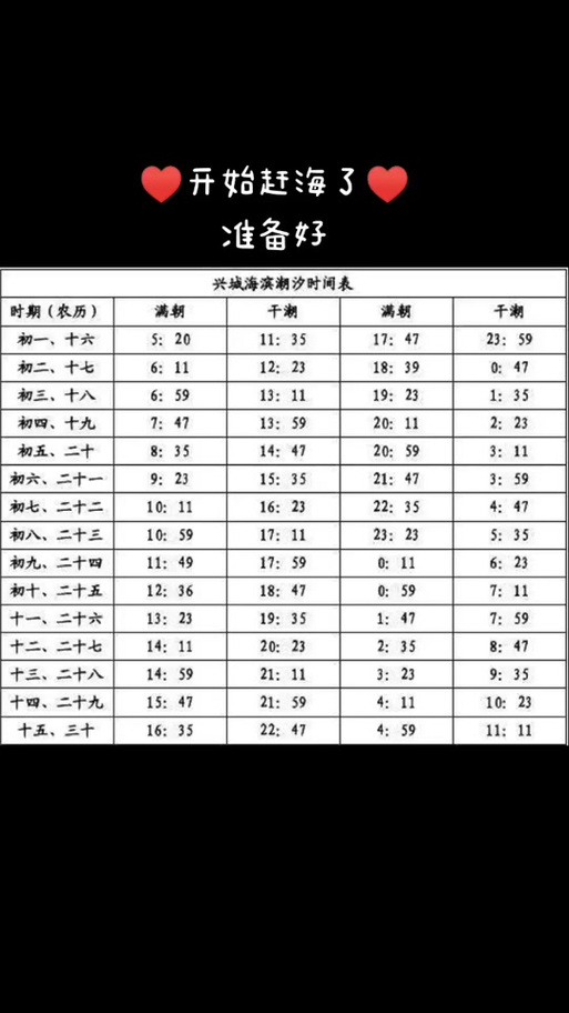潮汐表赶海