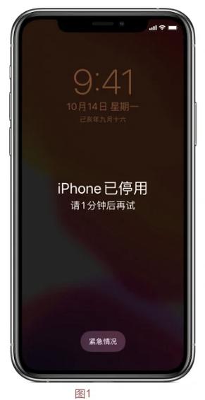 苹果密码忘记了停用怎么解决截图2