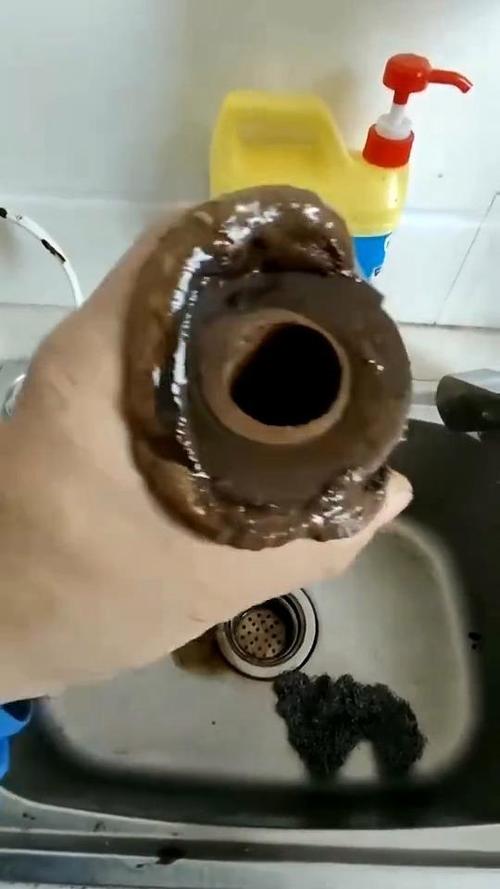 滤芯一年不换会怎么样