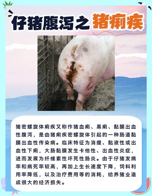 猪嗷嗷叫是什么病