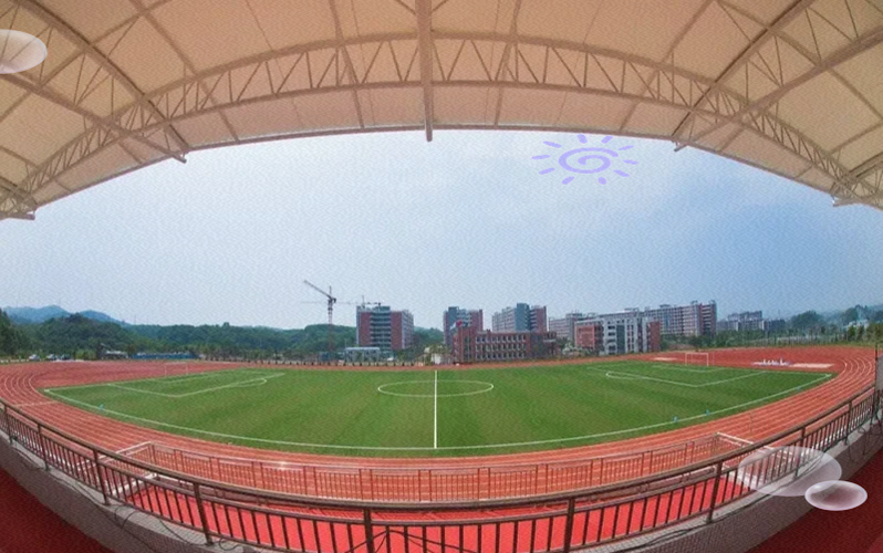 重庆体校有哪些学校