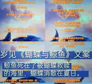 鲸鱼阅读作者申请中心