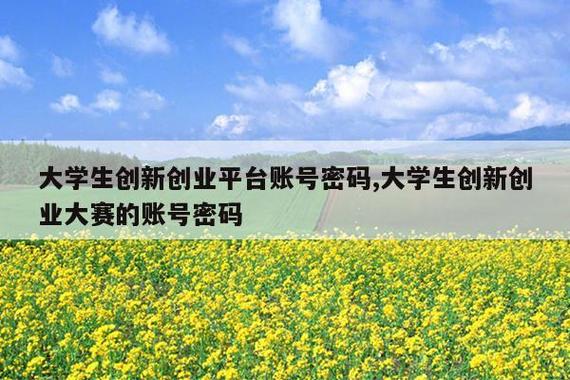 创新创业平台密码忘记了怎么办