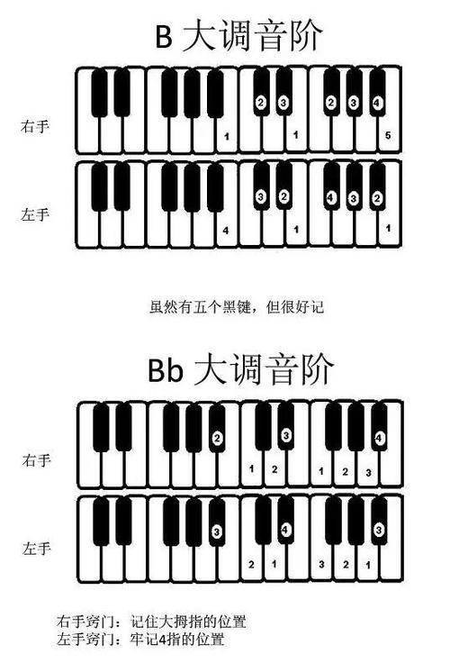 钢琴入门教程截图3