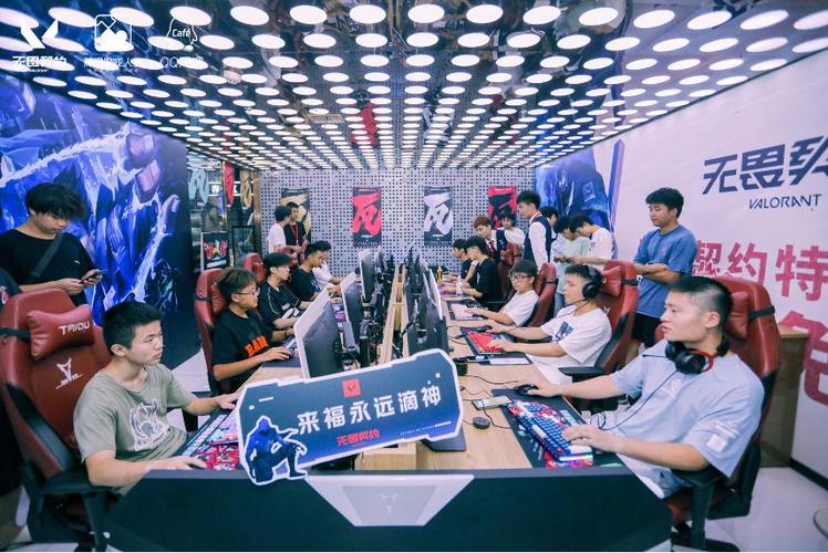 电竞学了12天放弃了