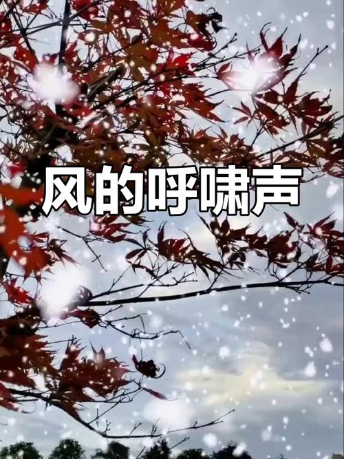 微信发语音跟刮风似的听不清