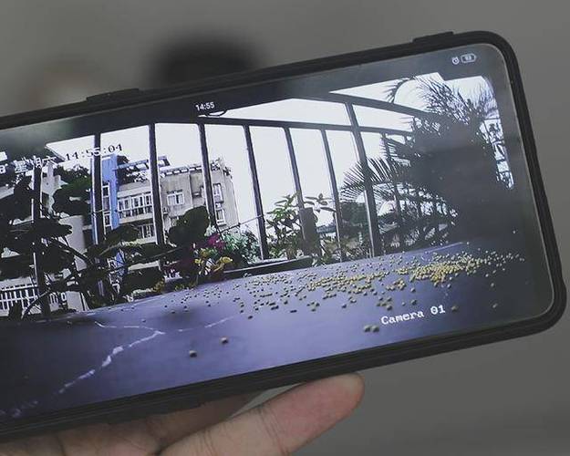 萤石云视频下载安装手机截图2