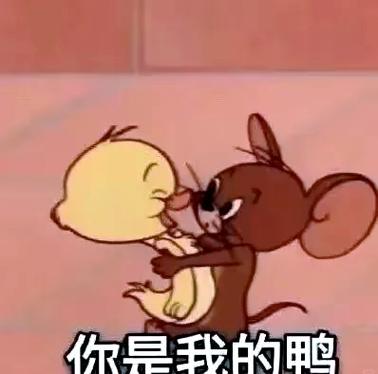 我要和你谈恋爱套路表情包