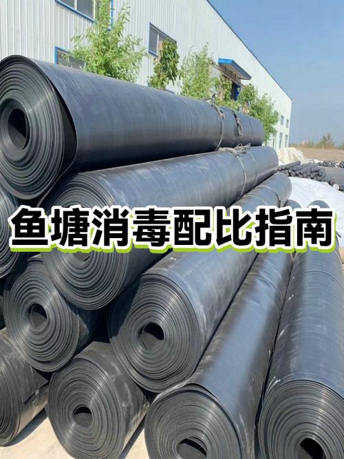 鱼池消毒最简单方法