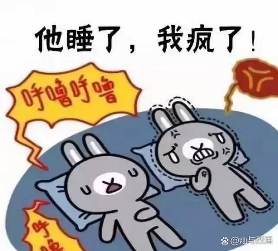 打呼噜