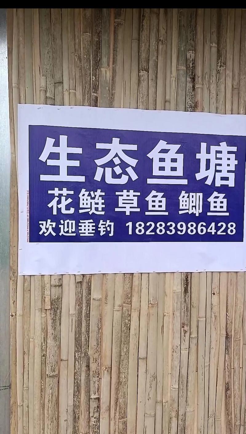 我是鱼塘主免广告