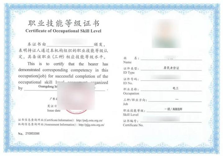 职业技能等级证书在哪里报名