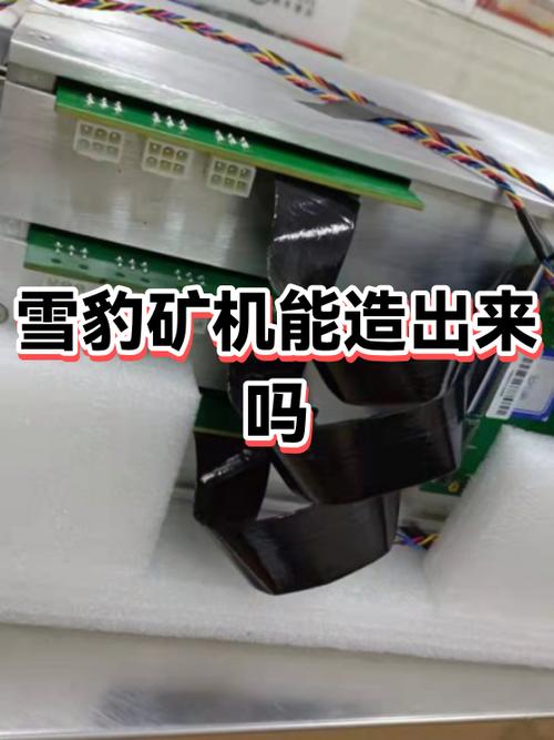 雪豹矿机APP能提现吗