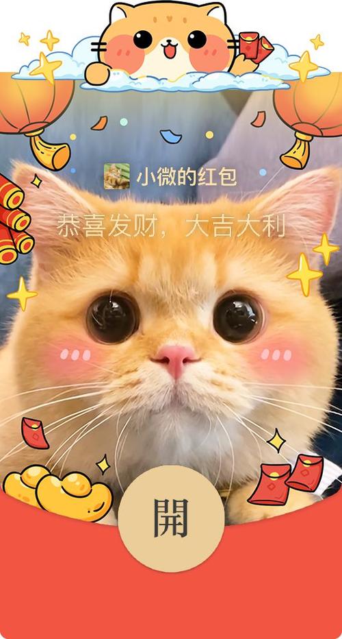 一起来猫红包版