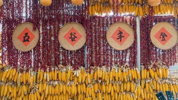 千禾的寓意和象征截图3
