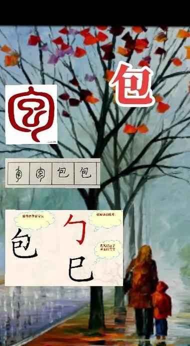 包是什么意思