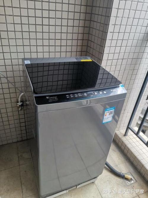 小天鹅官网首页入口