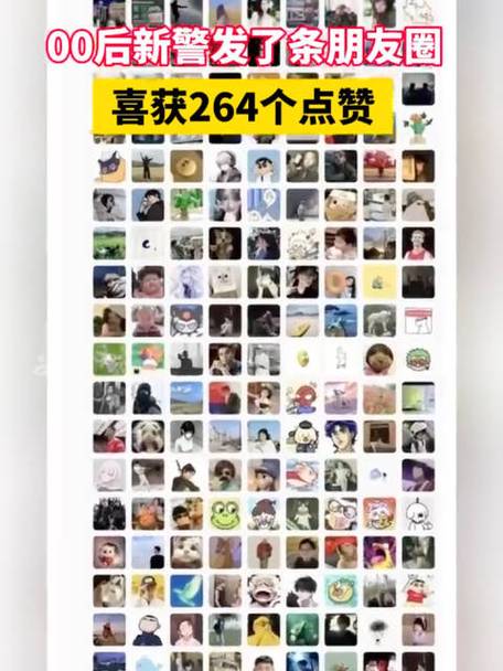朋友圈赞过的视频