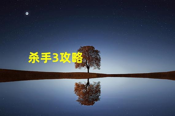 杀手四第三关