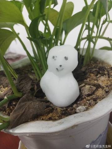 QQ红包雪人识别不了截图3