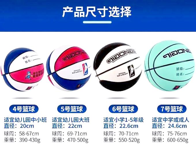 标准篮球的尺寸是多少