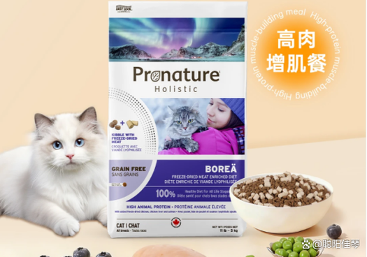 猫粮推荐