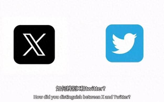 twitter search