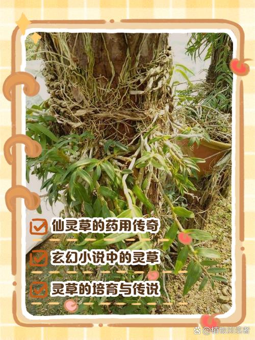 了不起的修仙模拟器灵仙草怎么获得 了不起的修仙模拟器灵仙草怎么获得