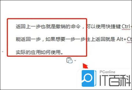 origin如何撤回上一步