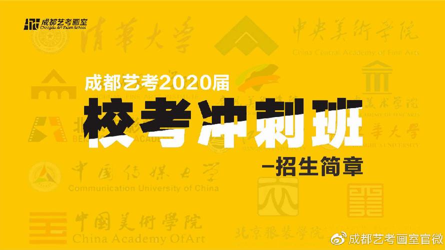 2020艺考校考招生简介