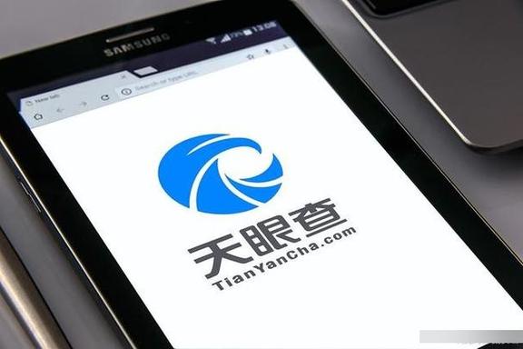 天眼车牌号找人