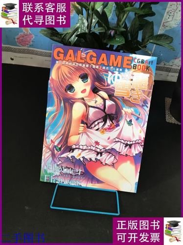 galgame光碟